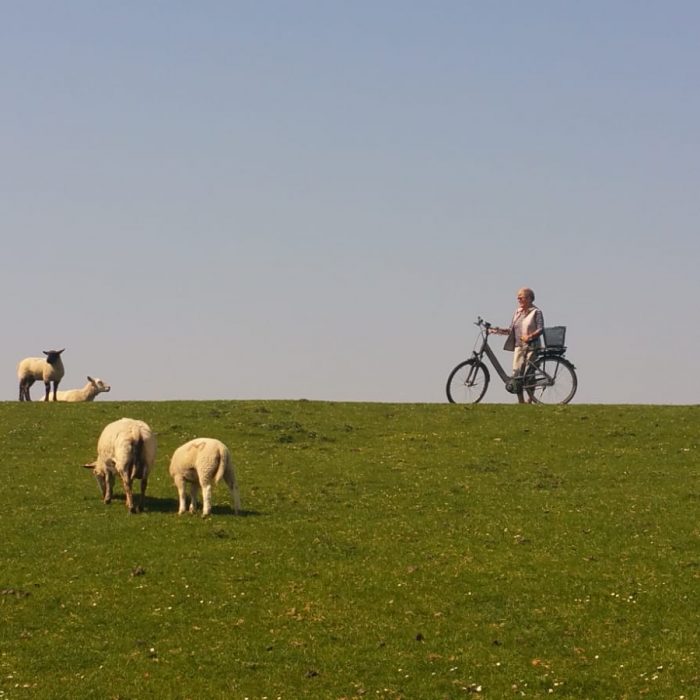Radtour am Deich